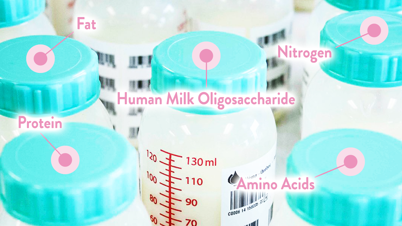 Nutritional data analysis of human milk in a lab, highlighting key components like protein, nitrogen, and amino acids that are crucial for personalized fortification in preterm infants.