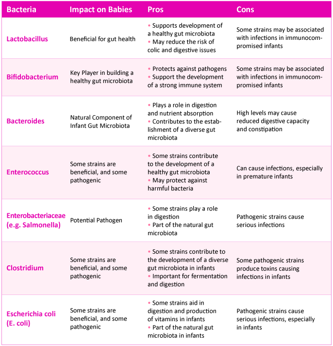 Infographic comparing beneficial bacteria like Bifidobacterium and Lactobacillus to potentially harmful ones, showing their impact on infant health, immunity, and development.